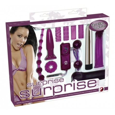 Фиолетовый эротический набор из 12 предметов Surprise Surprise Lovetoyset